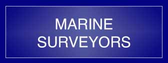 Marine Surveyors
