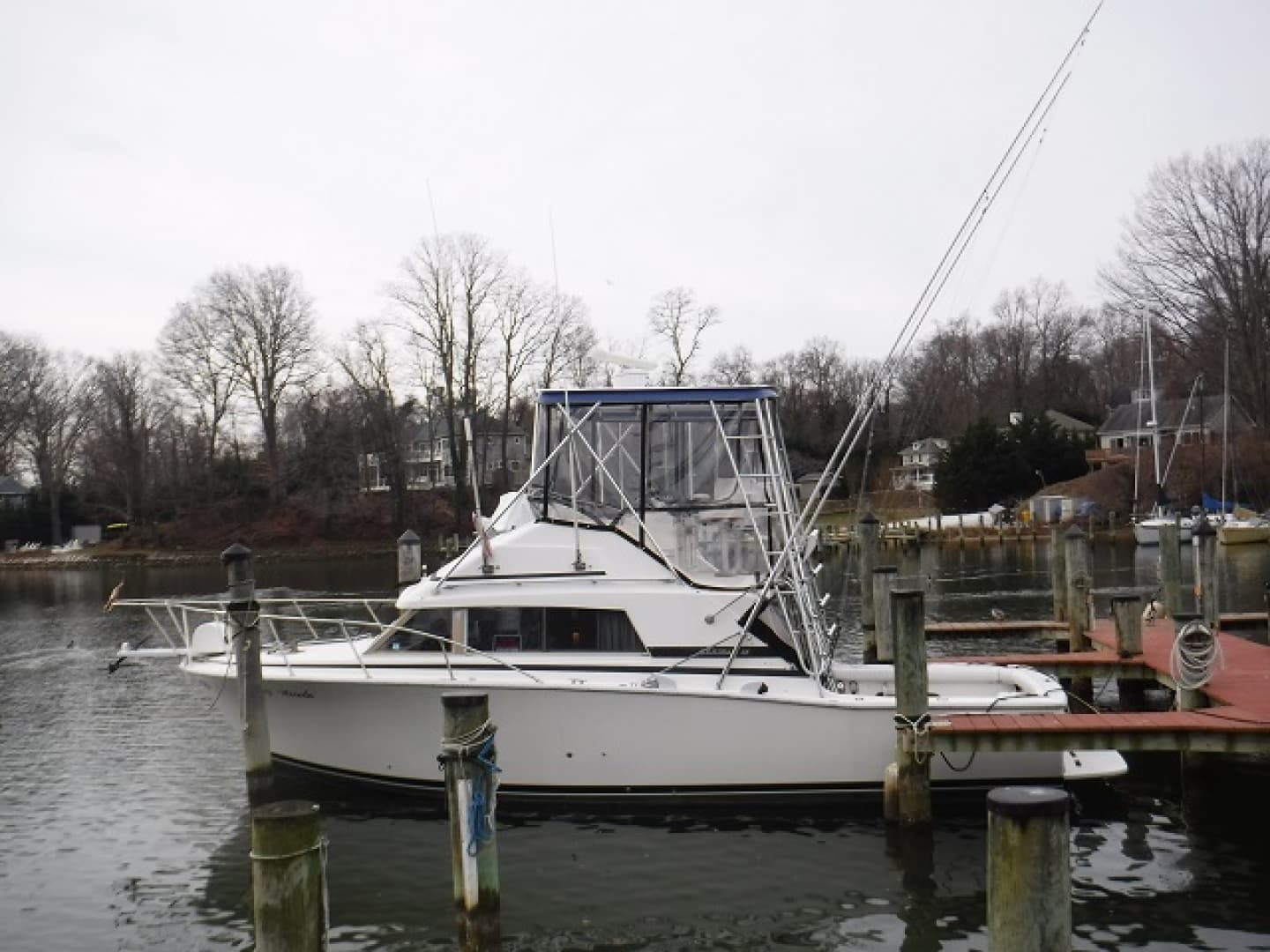 1980 Bertram 33 — photo 1