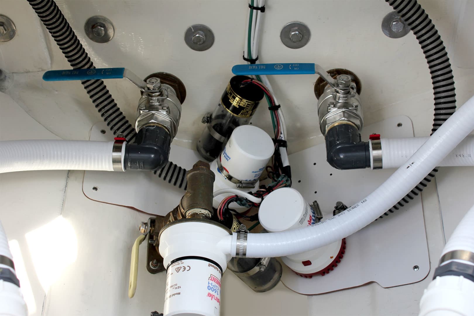 2026 Birdsall 30 — photo 30