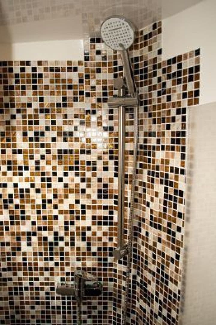 2019 Monachus Issa — photo 11