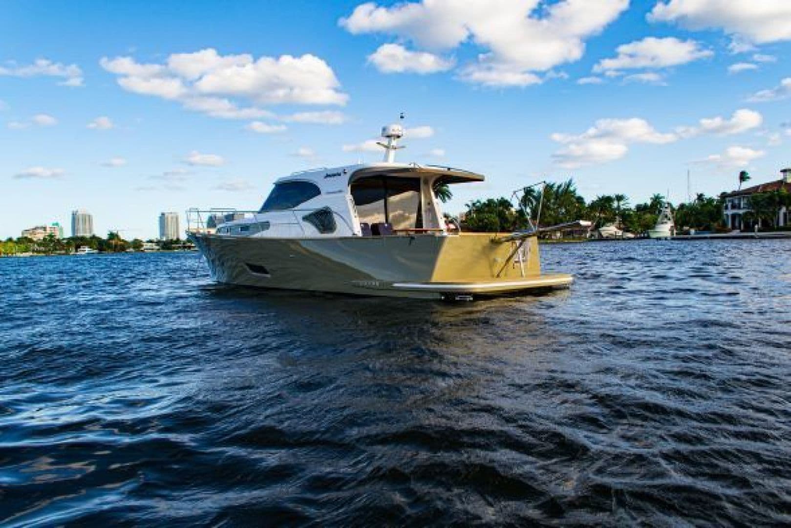 2019 Monachus Issa — photo 2