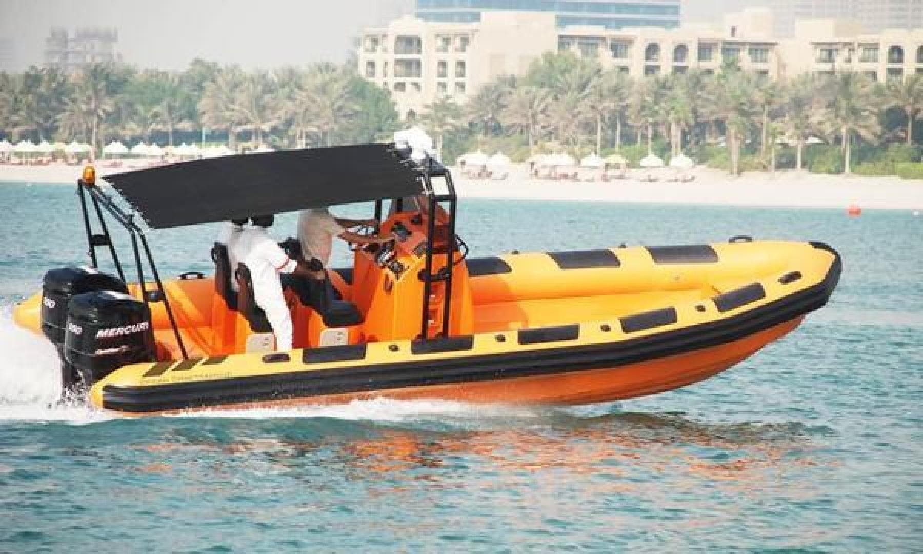 2022 Ocean Craft Marine 9.5m RHIB Professional Search And Rescue — photo 5