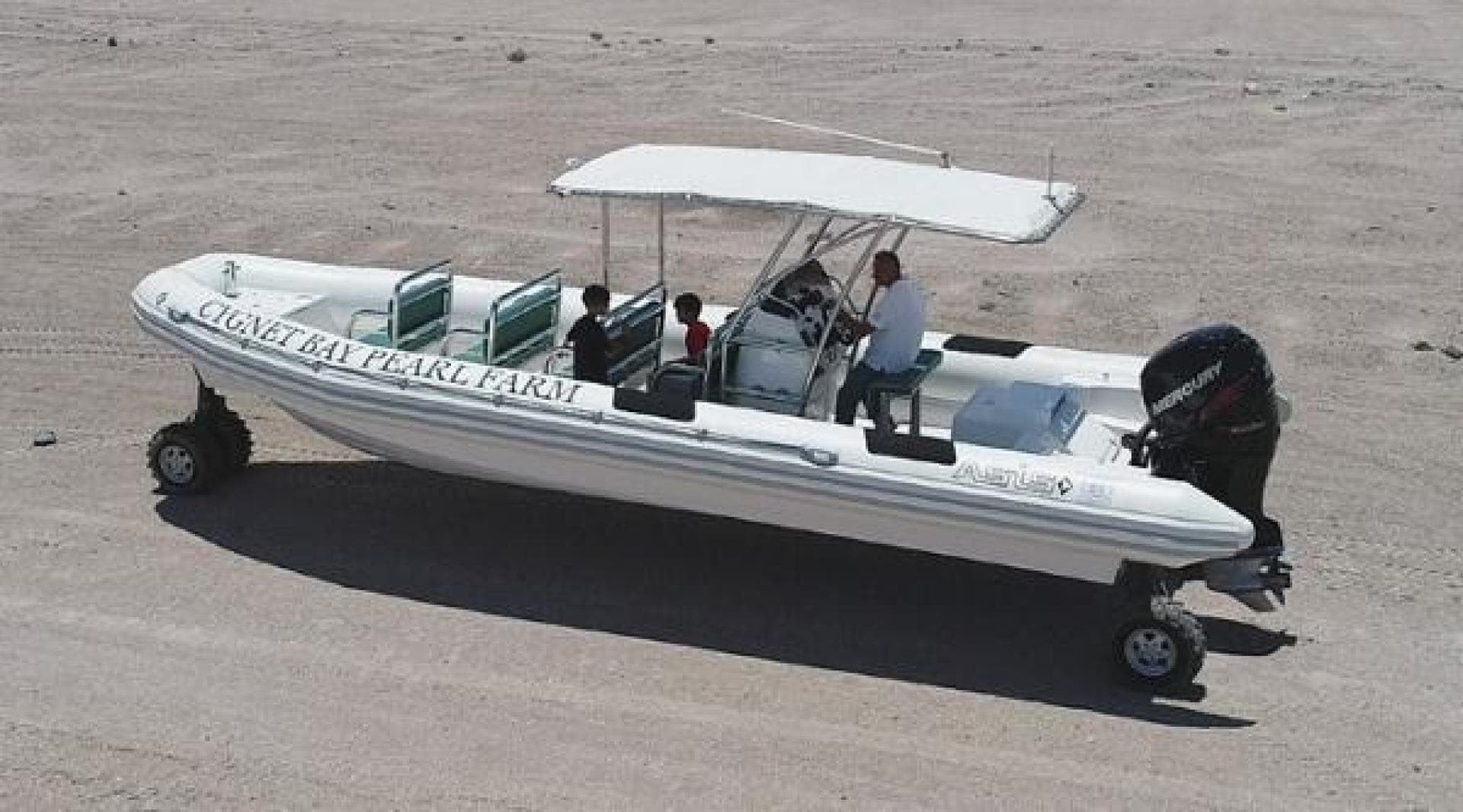 2022 Ocean Craft Marine Transport And Tour 9.5m — photo 2