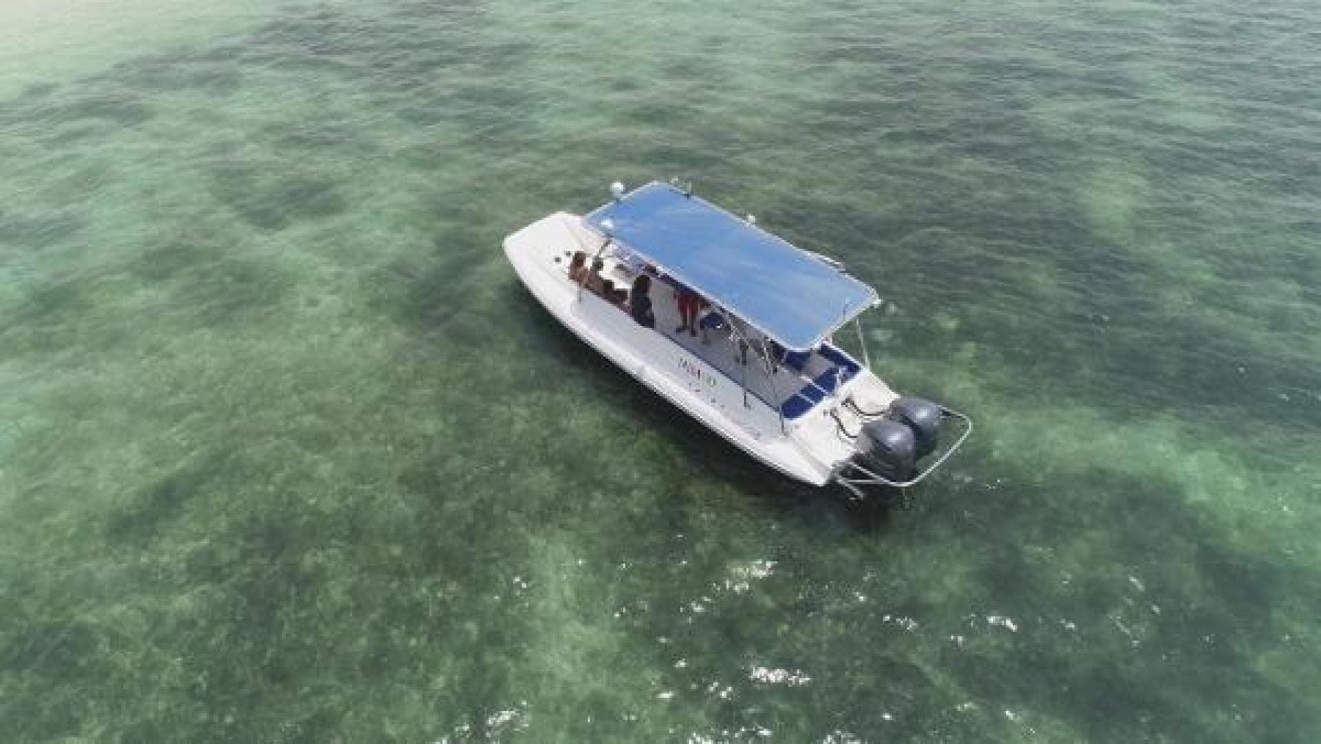 2022 Ocean Craft Marine Beachlander 8.75 — photo 6