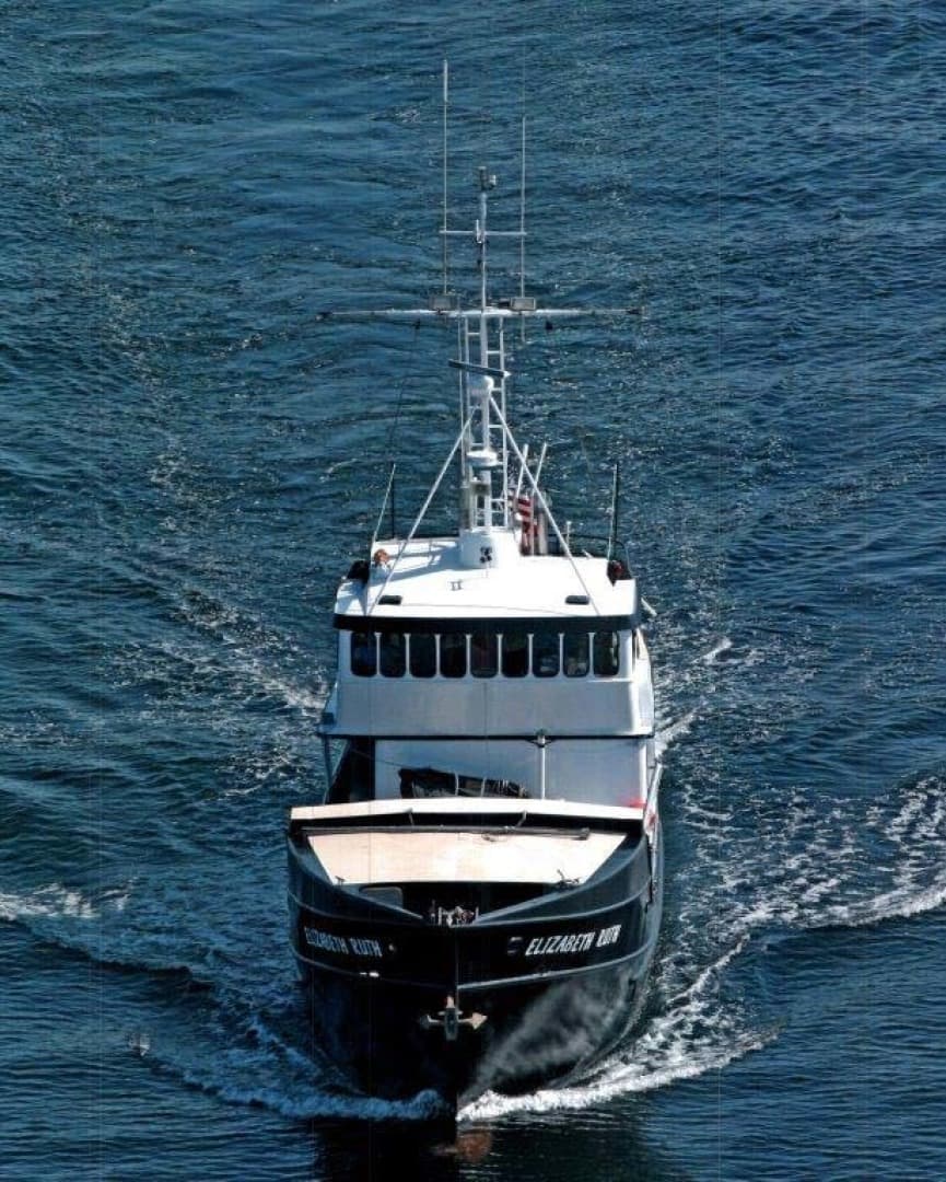 1991 Custom Robinson Modified Monk — photo 2