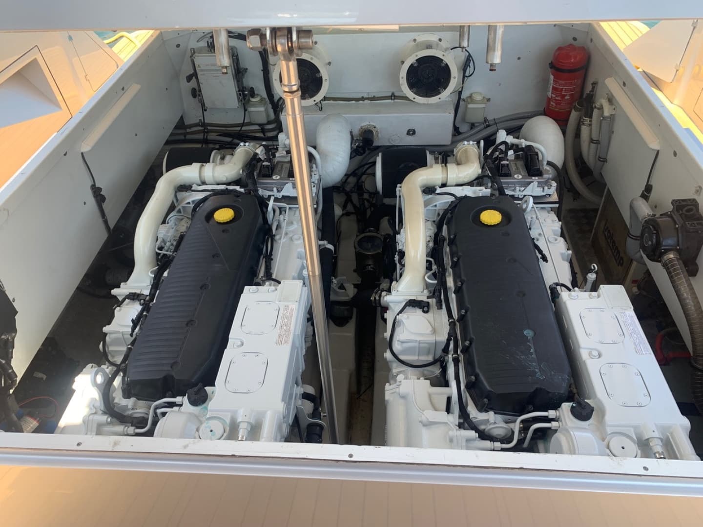 2017 Maori 50 — photo 24