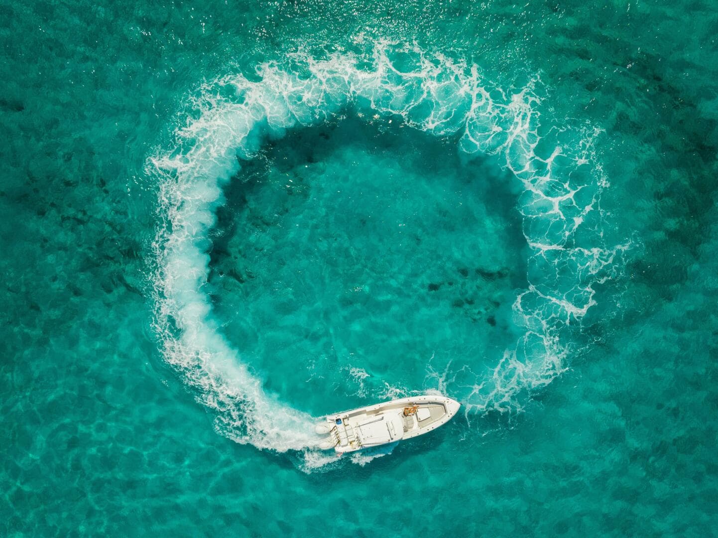 2019 Everglades 355 CC — photo 21