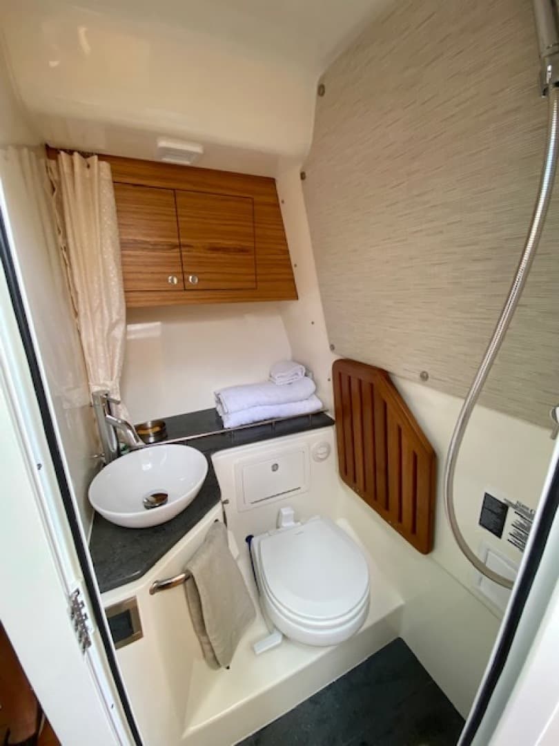 2020 Boston Whaler 380 Realm — photo 21