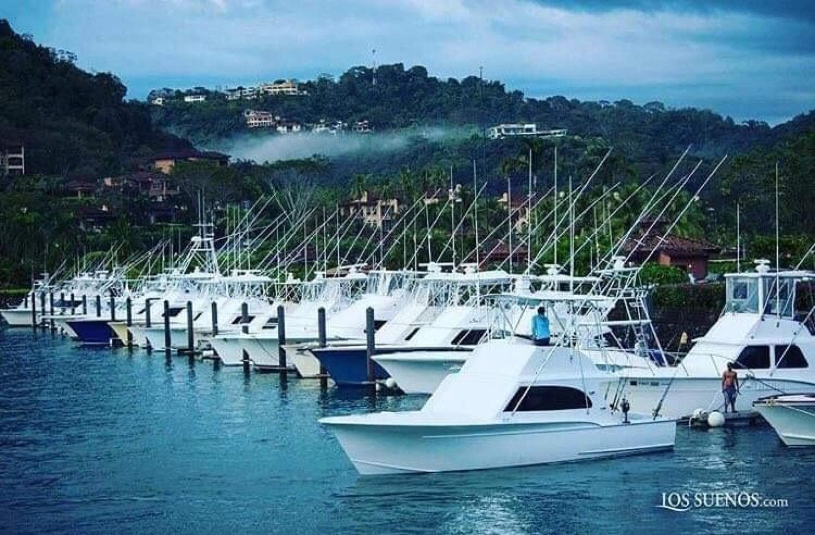 1984 Sunny Briggs Custom Carolina — photo 2