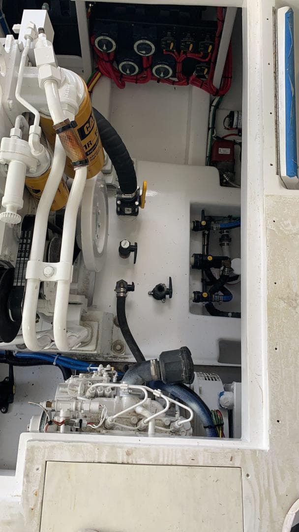 1984 Sunny Briggs Custom Carolina — photo 10