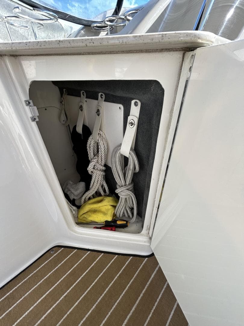 2009 Sea Ray 310 Sundancer — photo 16