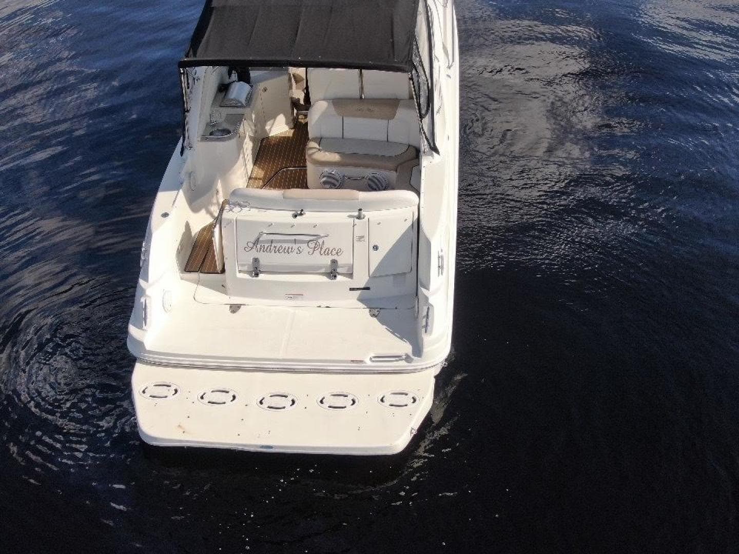 2009 Sea Ray 310 Sundancer — photo 23