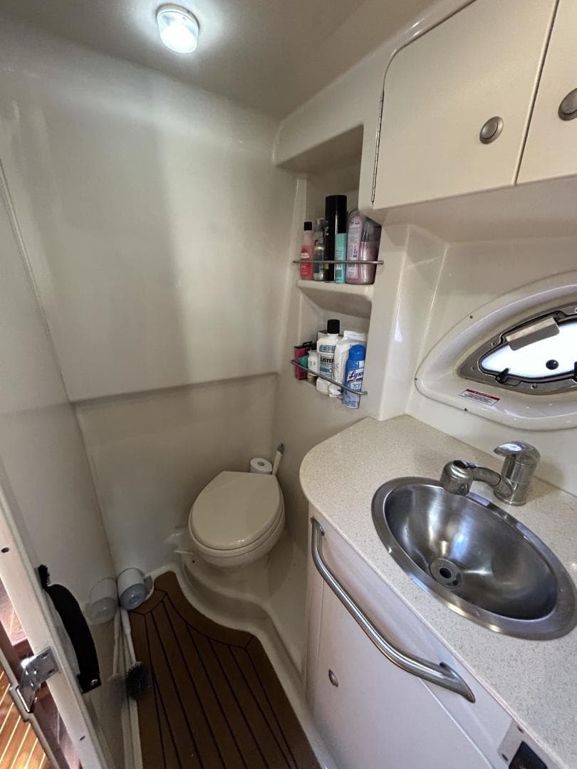 2009 Sea Ray 310 Sundancer — photo 12