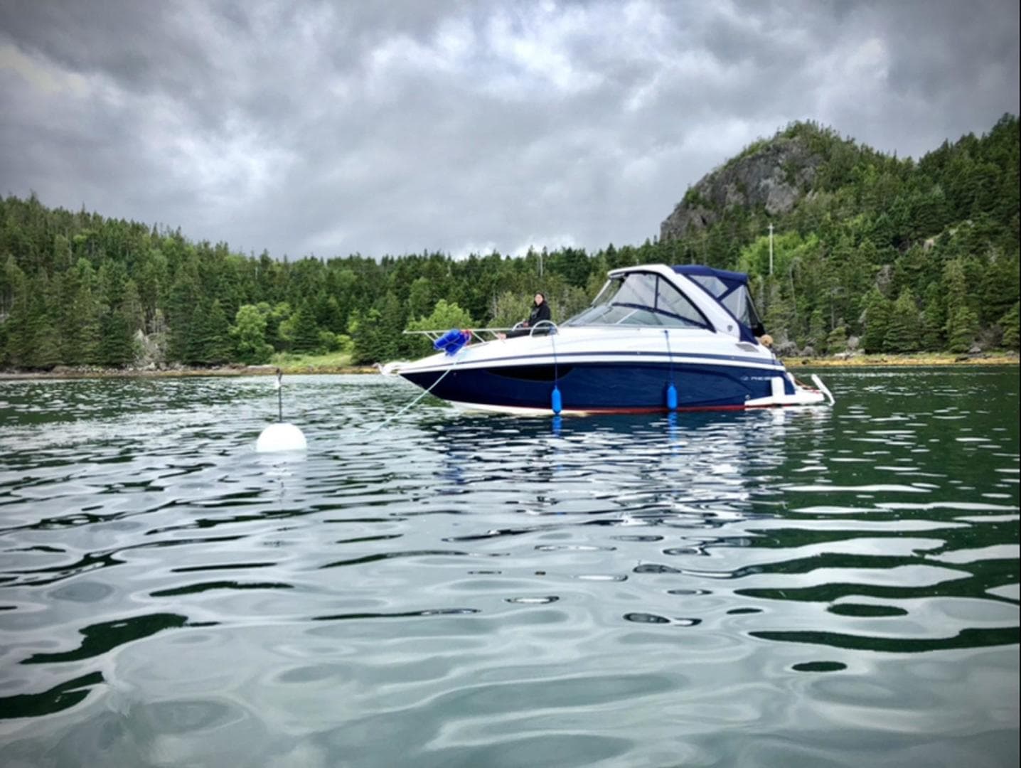 2017 Regal Express — photo 66