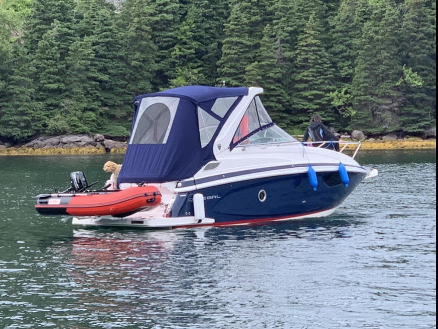 2017 Regal Express — photo 5