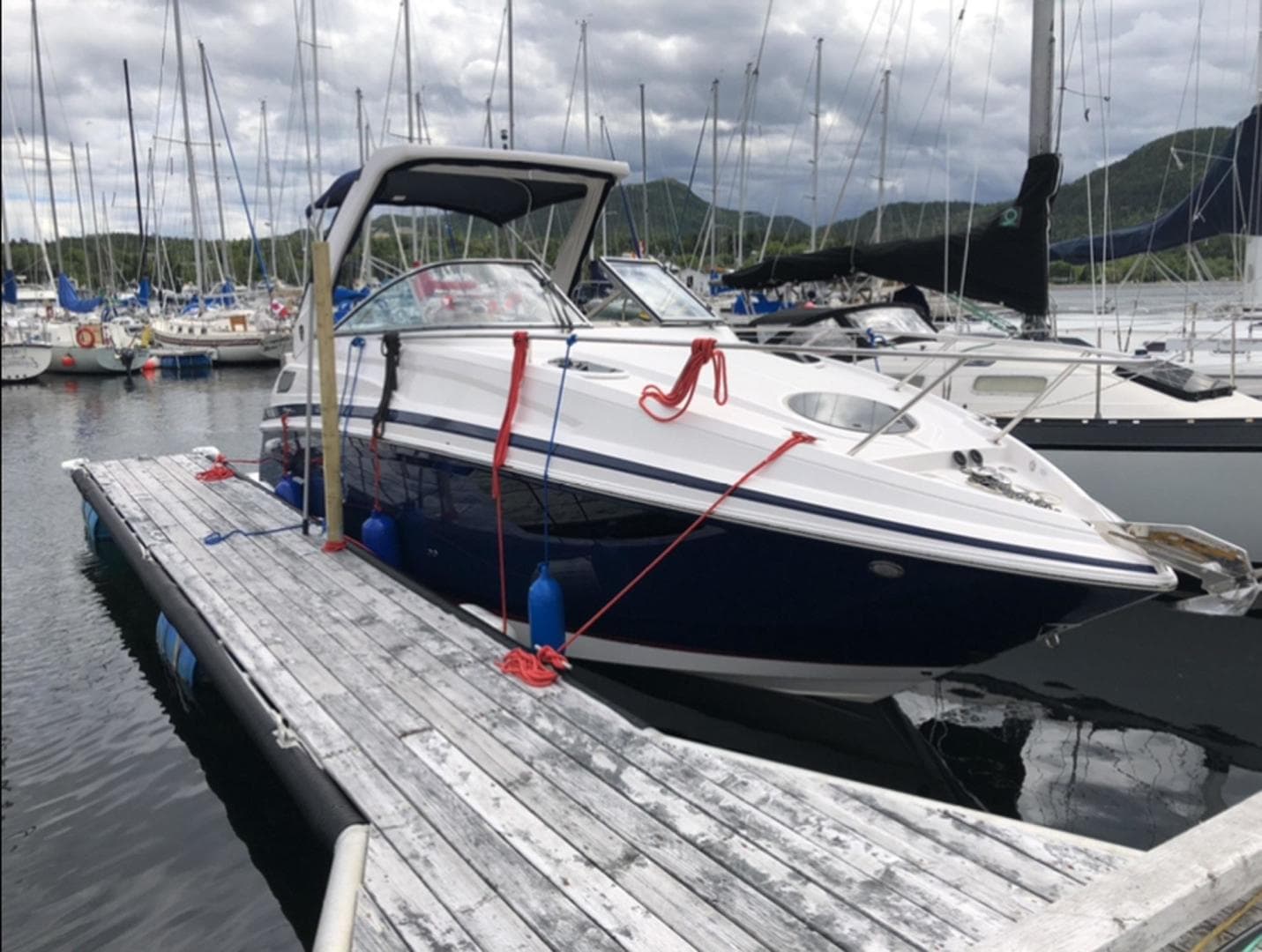 2017 Regal Express — photo 2