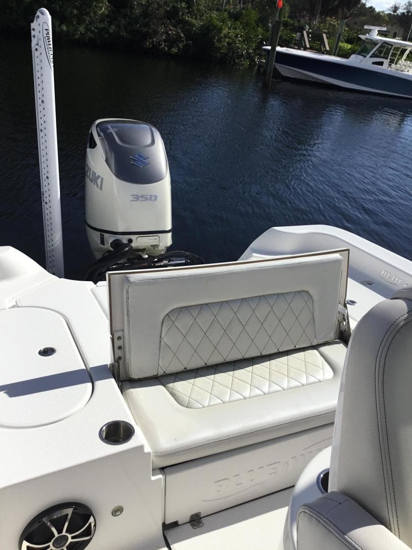 2019 Blue Wave Pure Hybrid — photo 5