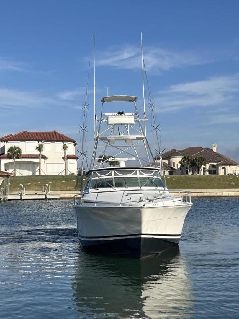 1993 Bertram 46 Moppie — photo 21