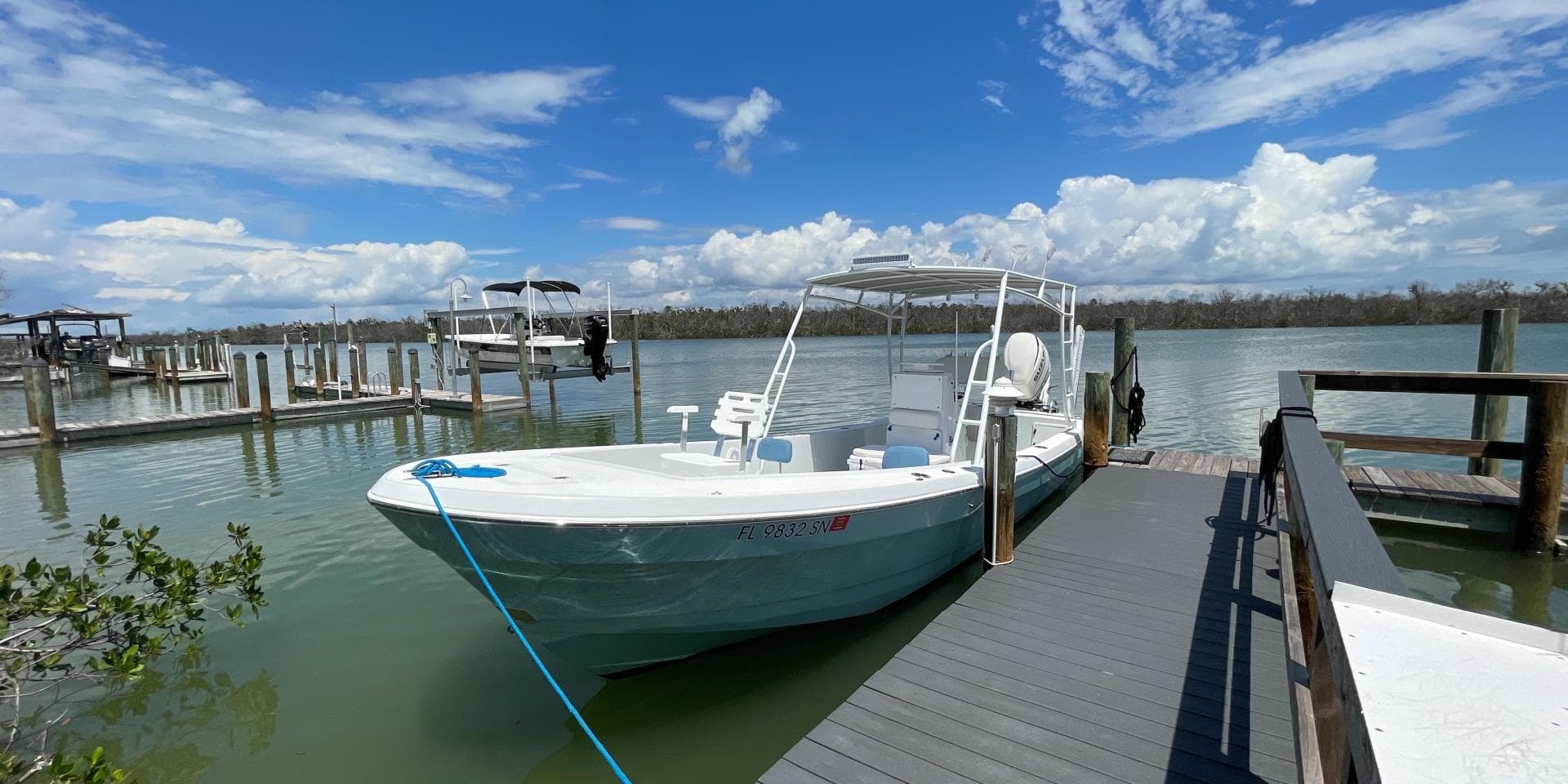 2006 Andros Tarpon 26 — photo 9