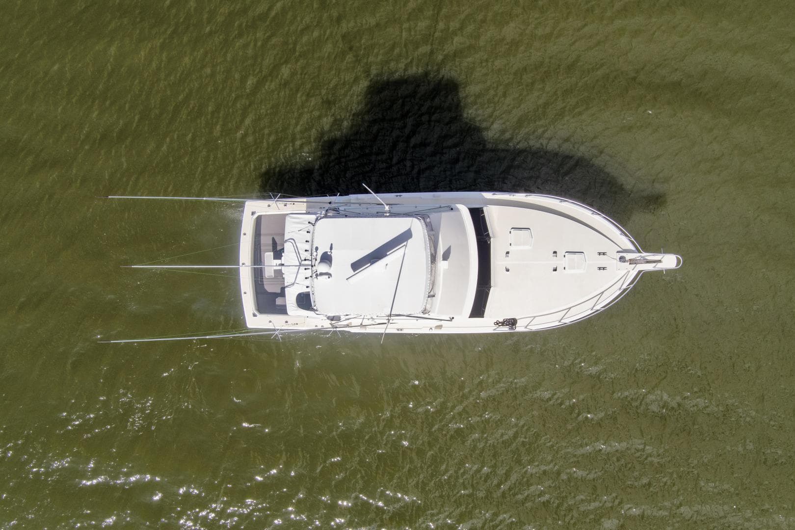 1981 Bertram 42 Convertible — photo 25