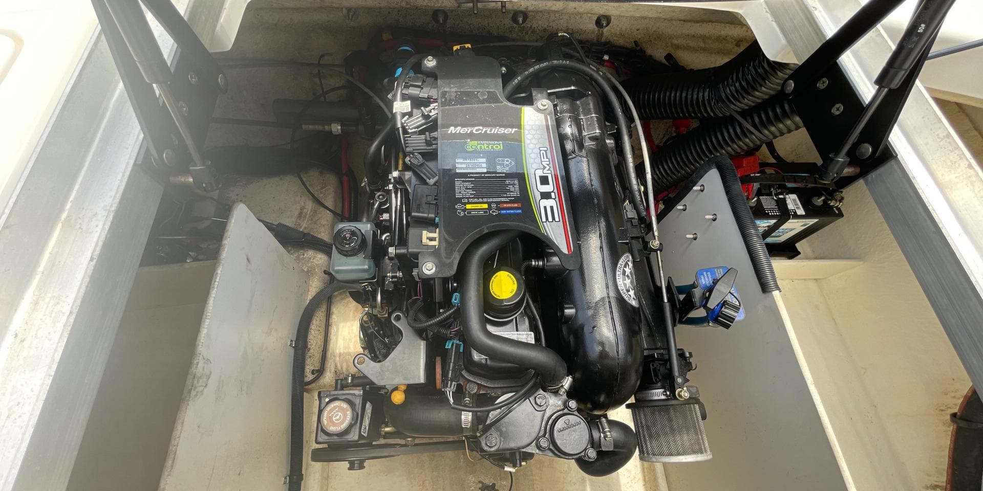 2015 Sea Ray 190 Sport — photo 10