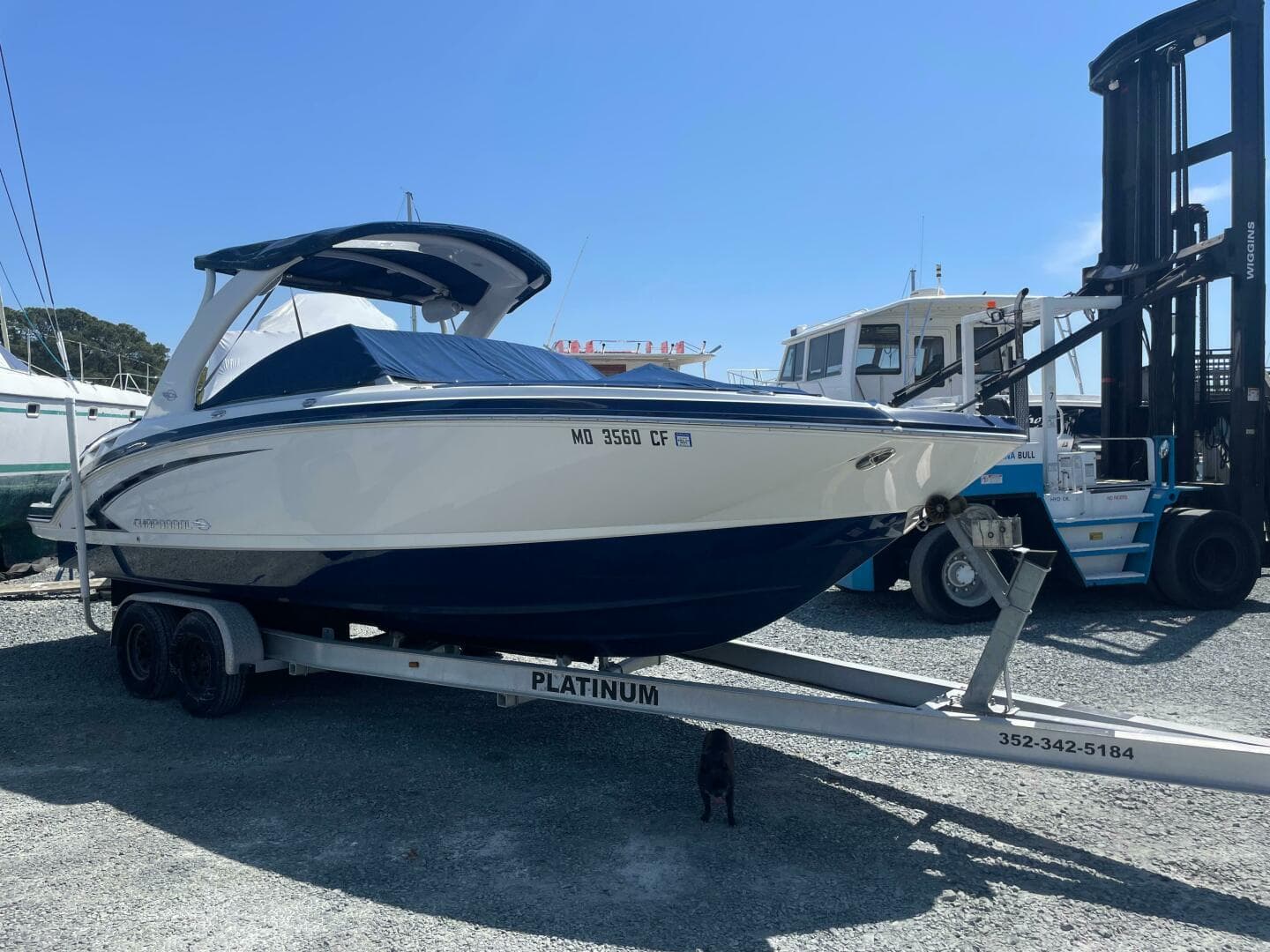 2012 Chaparral 284 Sunesta — photo 13