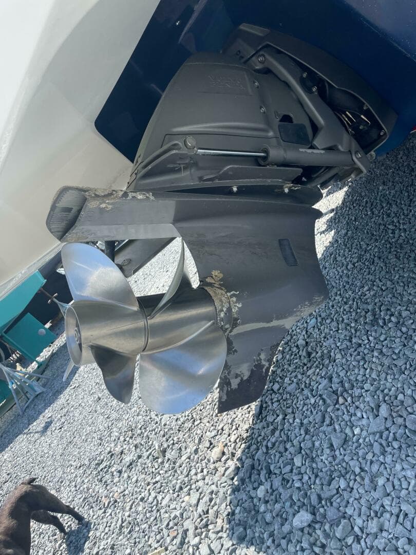 2012 Chaparral 284 Sunesta — photo 11