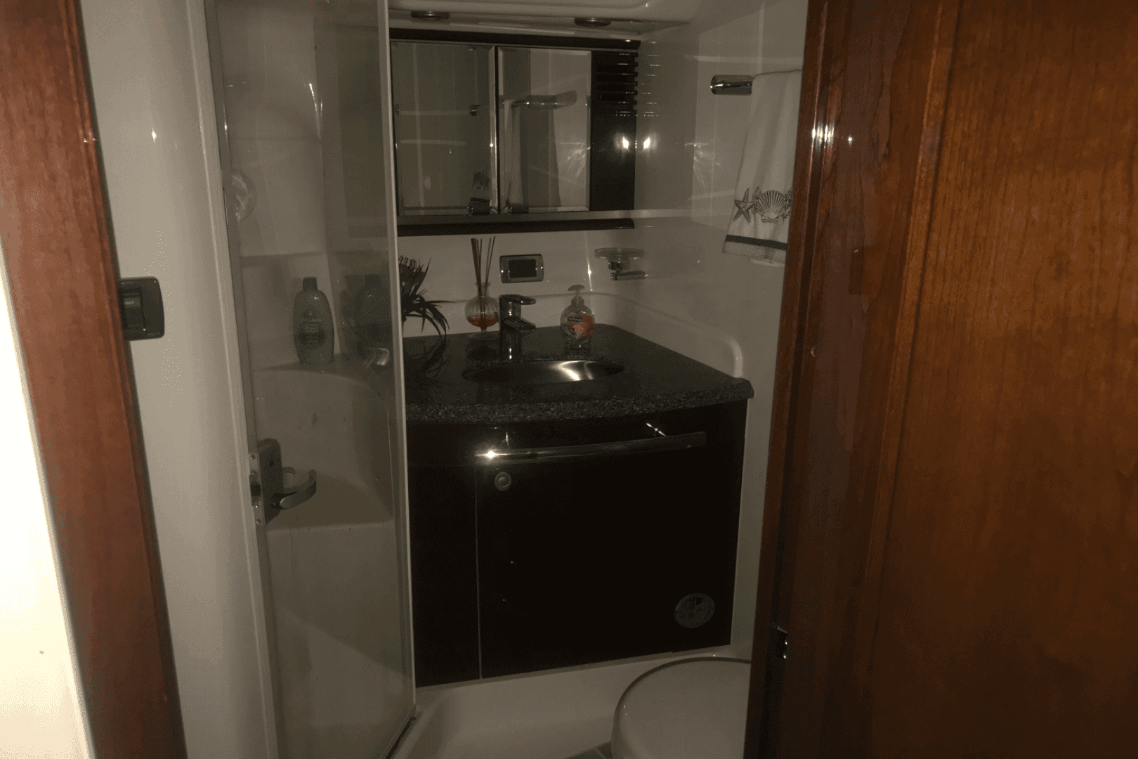 2009 Sea Ray 52 Sundancer — photo 67