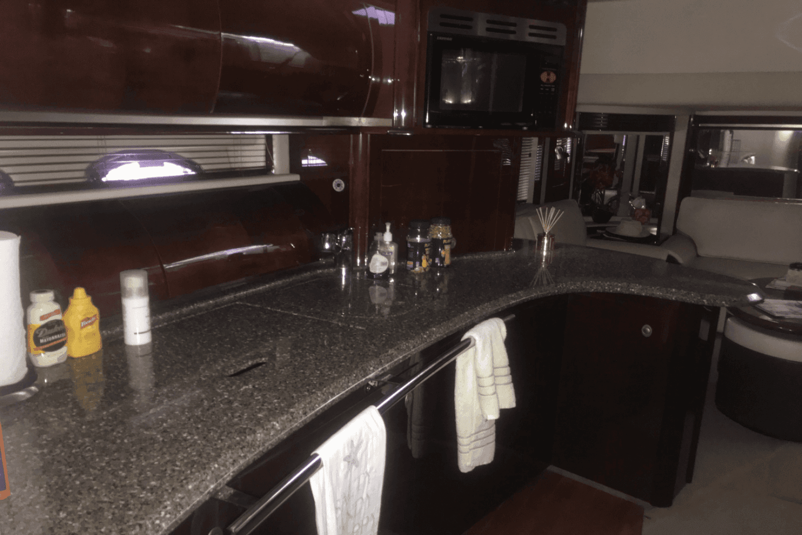 2009 Sea Ray 52 Sundancer — photo 58
