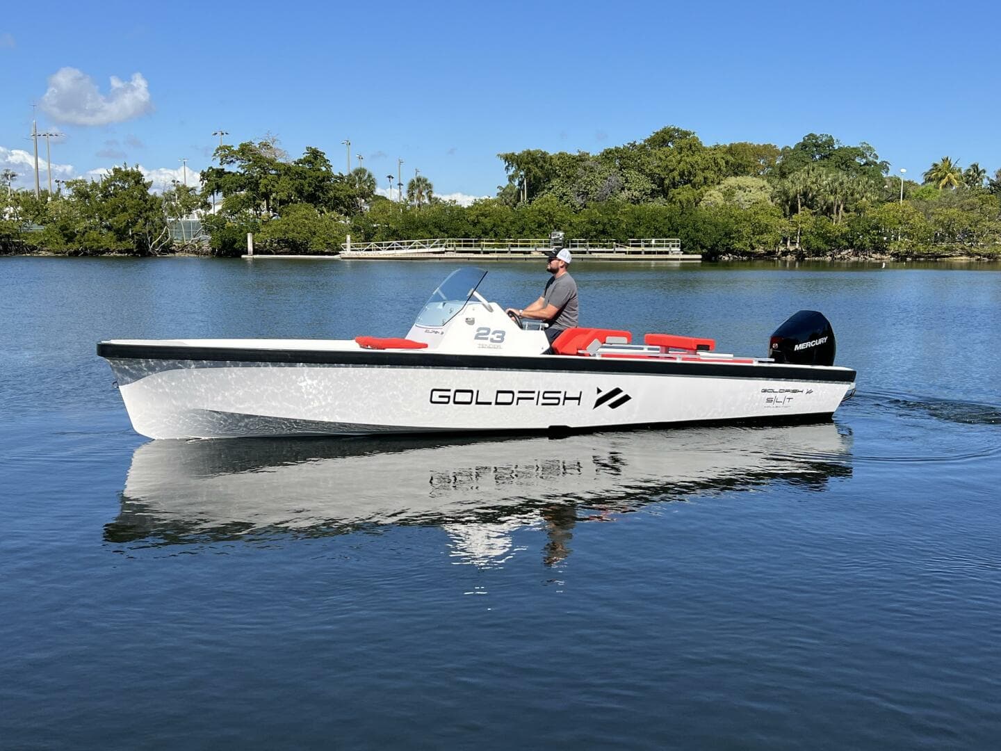 2021 Goldfish 23 Tender — photo 1