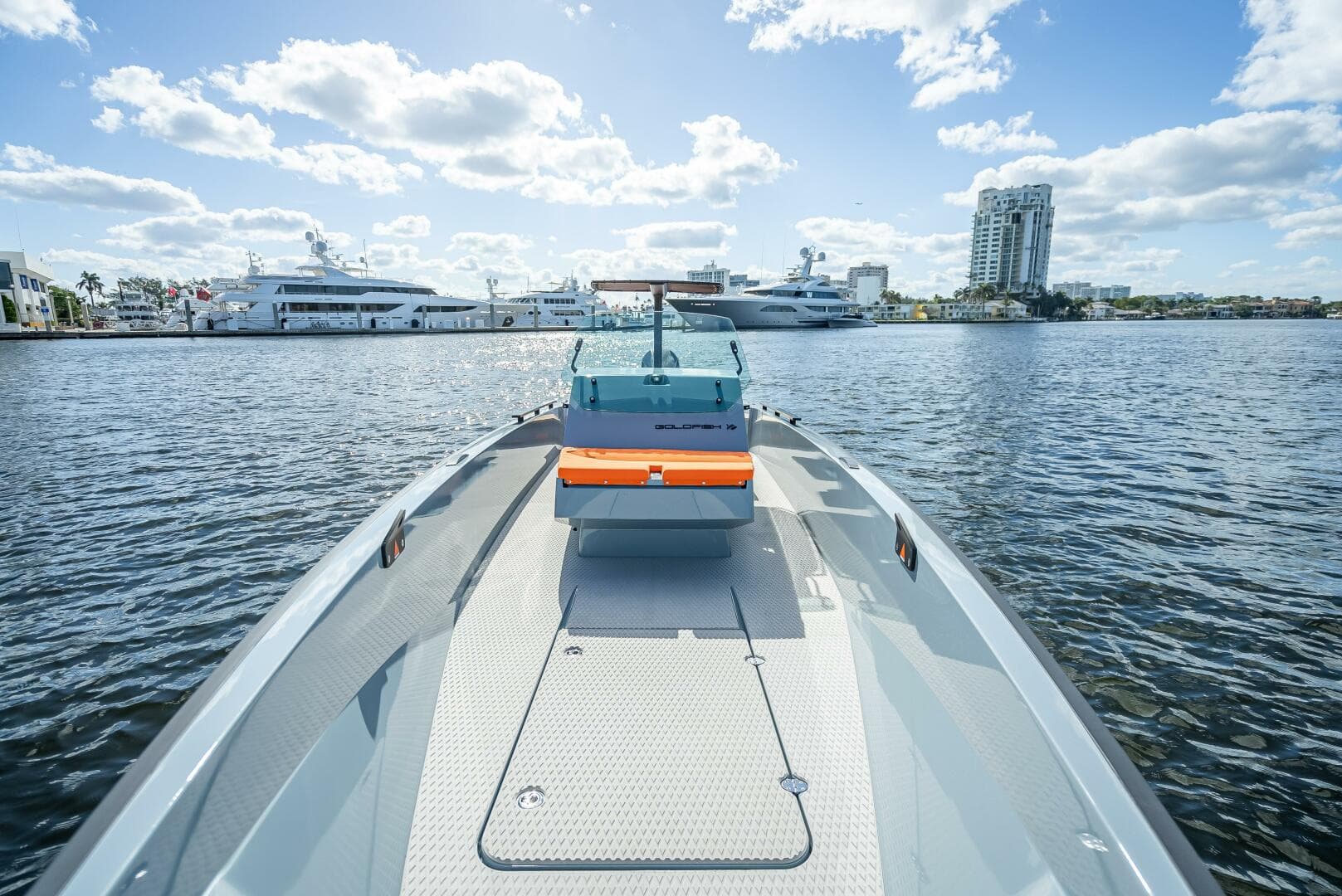 2024 Goldfish 28 Tender — photo 22