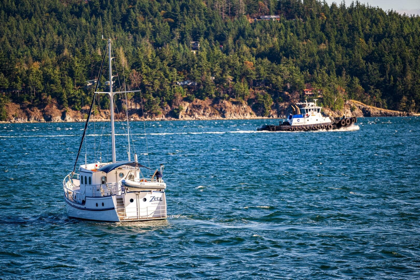 2009 Diesel Duck 41-Plus — photo 8