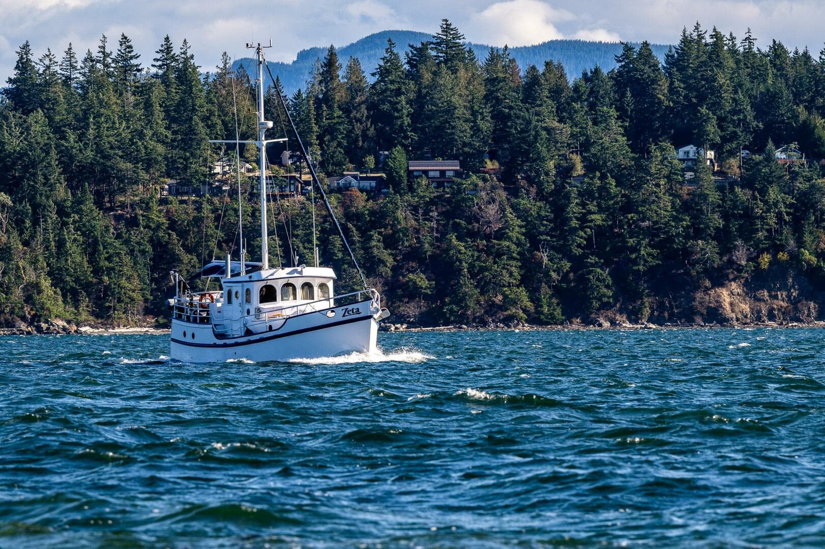 2009 Diesel Duck 41-Plus — photo 4