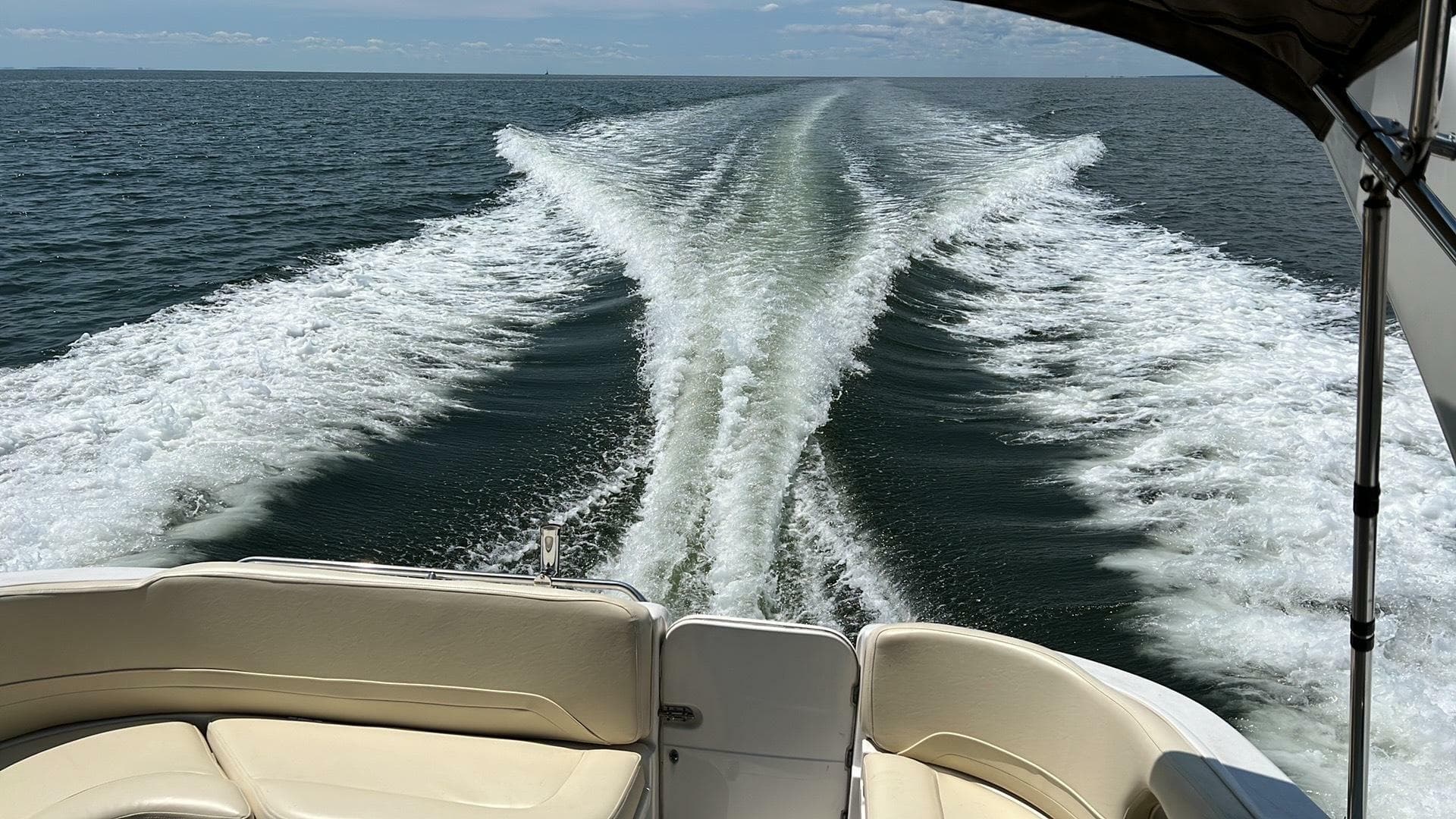 1998 Chris-Craft 320 Express Cruiser — photo 9