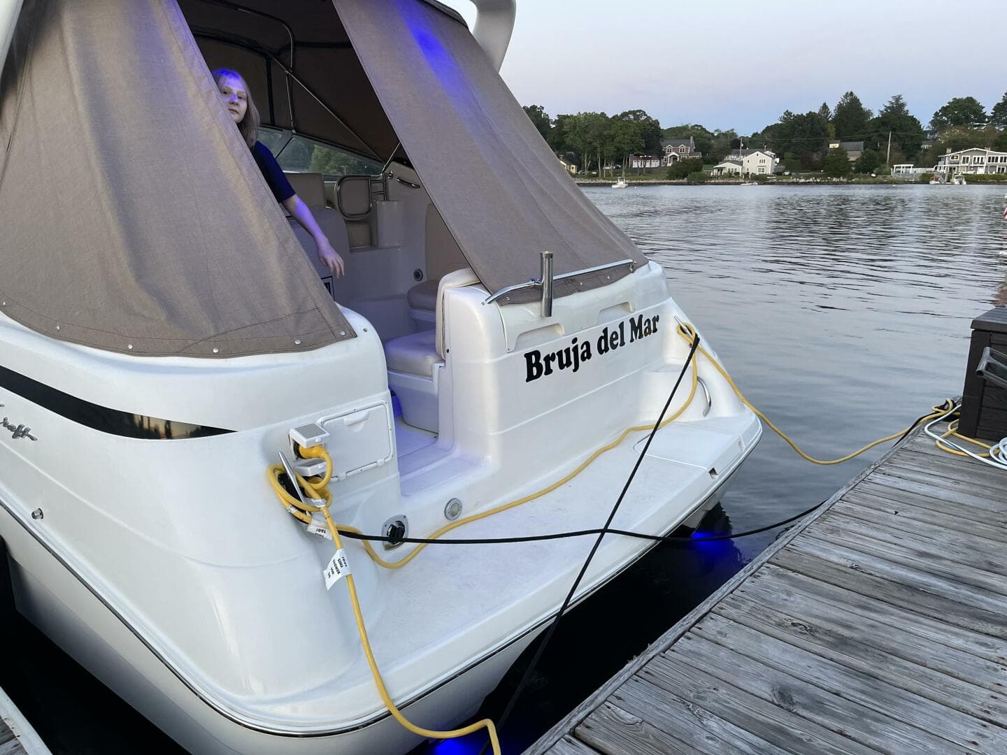 1998 Chris-Craft 320 Express Cruiser — photo 6