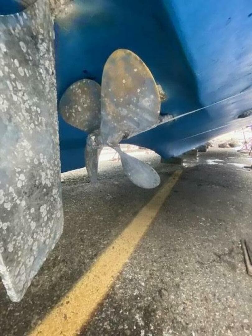 1976 Marine Management — photo 9