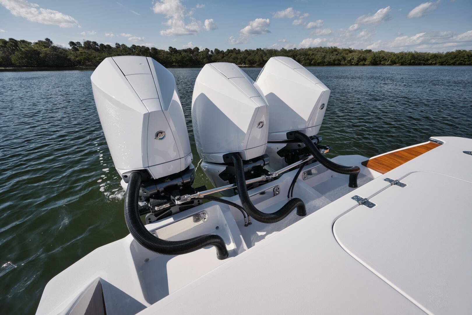 2023 Tribute — photo 38