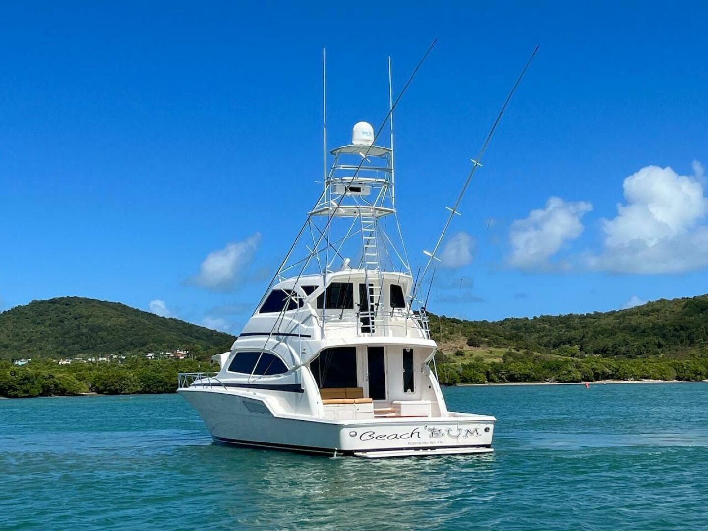 2004 Bertram 67 — photo 6