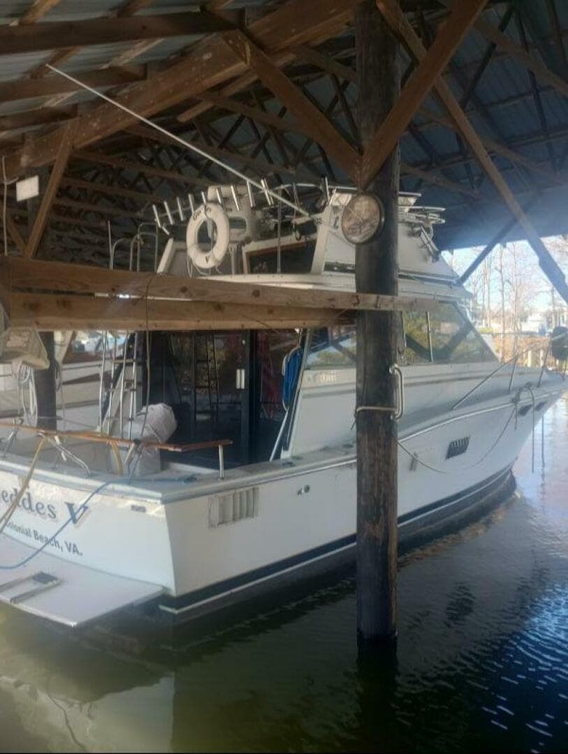 1977 Trojan — photo 2