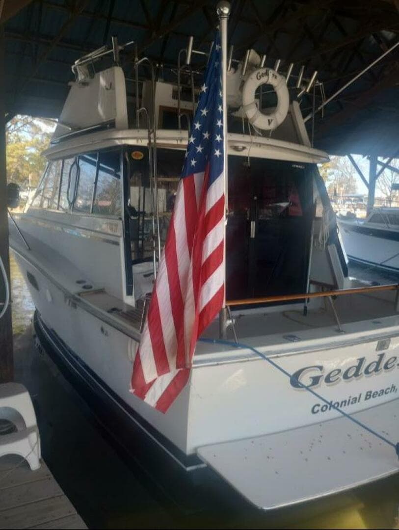 1977 Trojan — photo 3