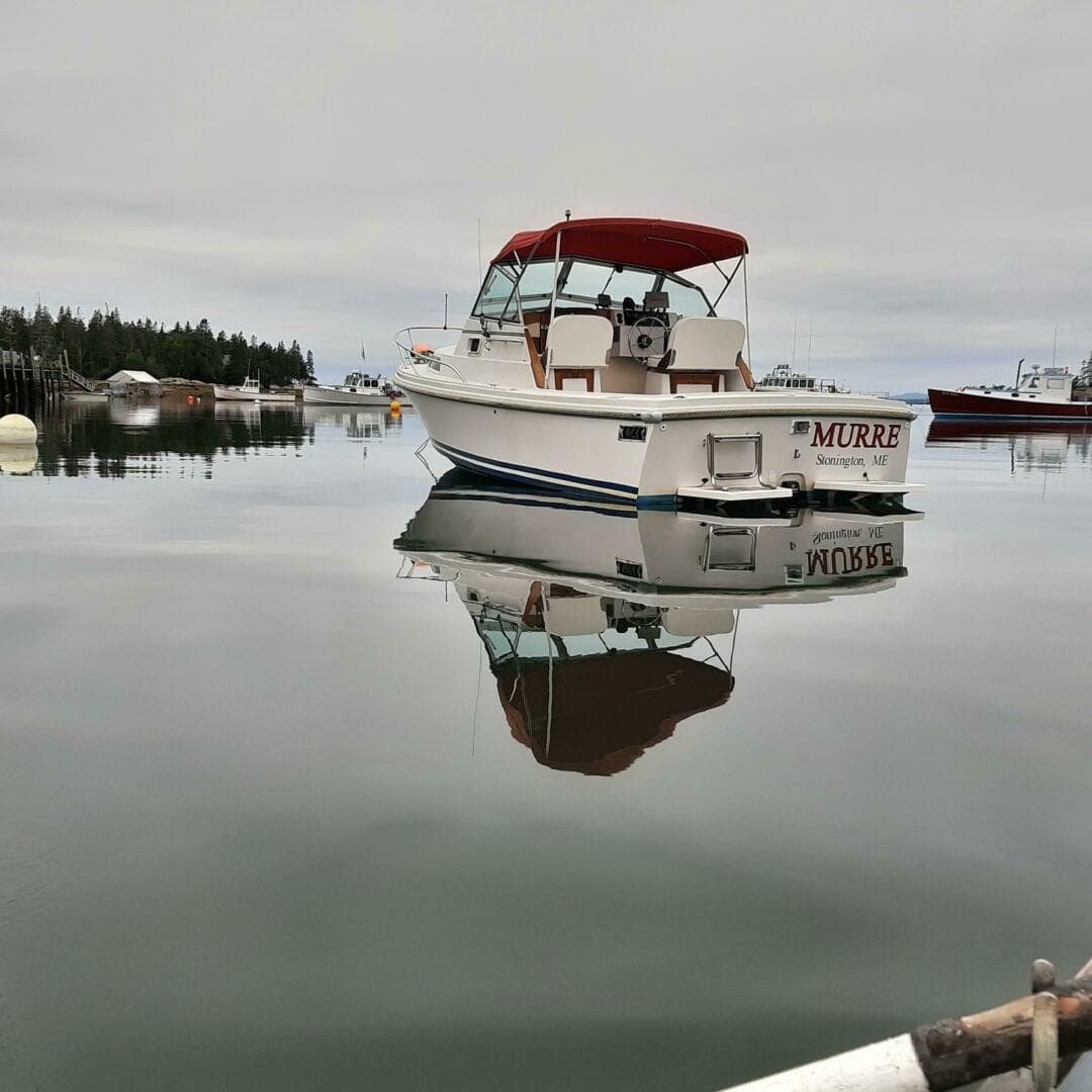 1988 Limestone Express Cruiser — photo 2