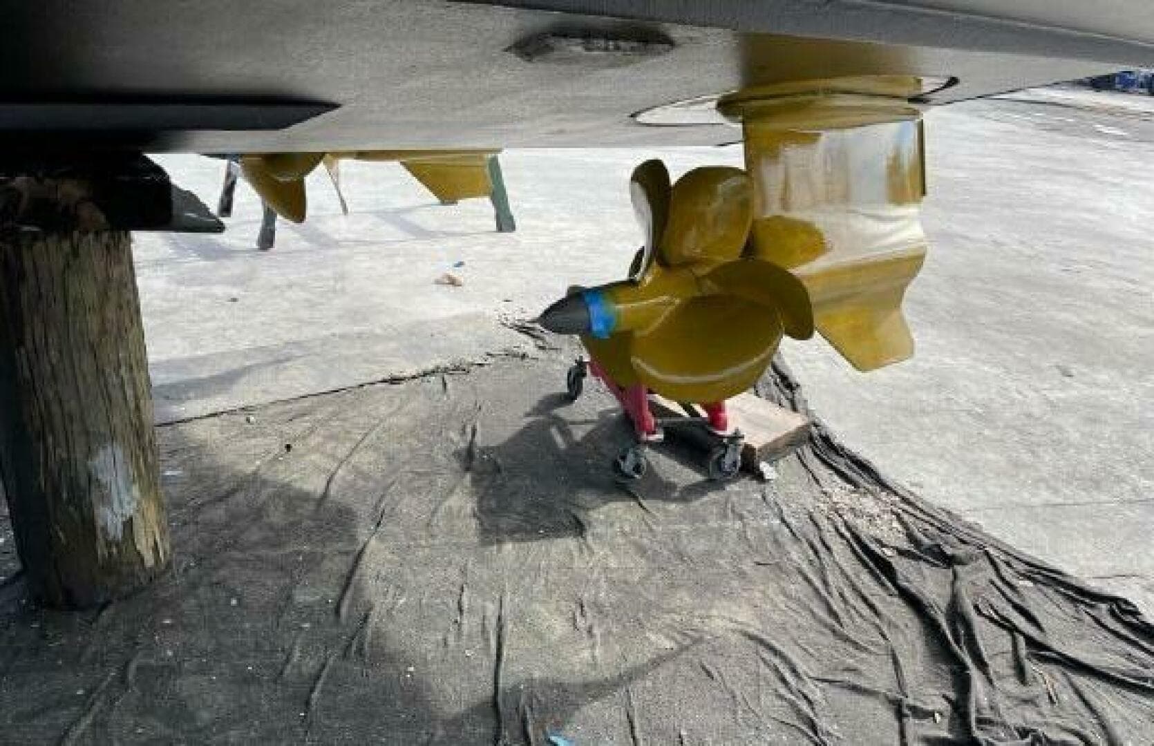 2017 Evo 43 — photo 28