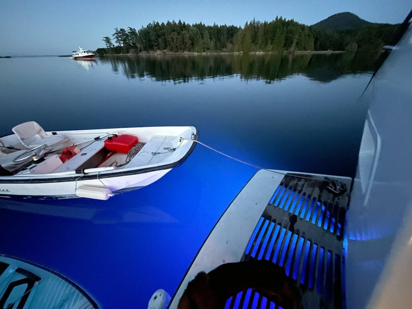 1967 Custom George Moore Custom 74 Lr Trawler — photo 27