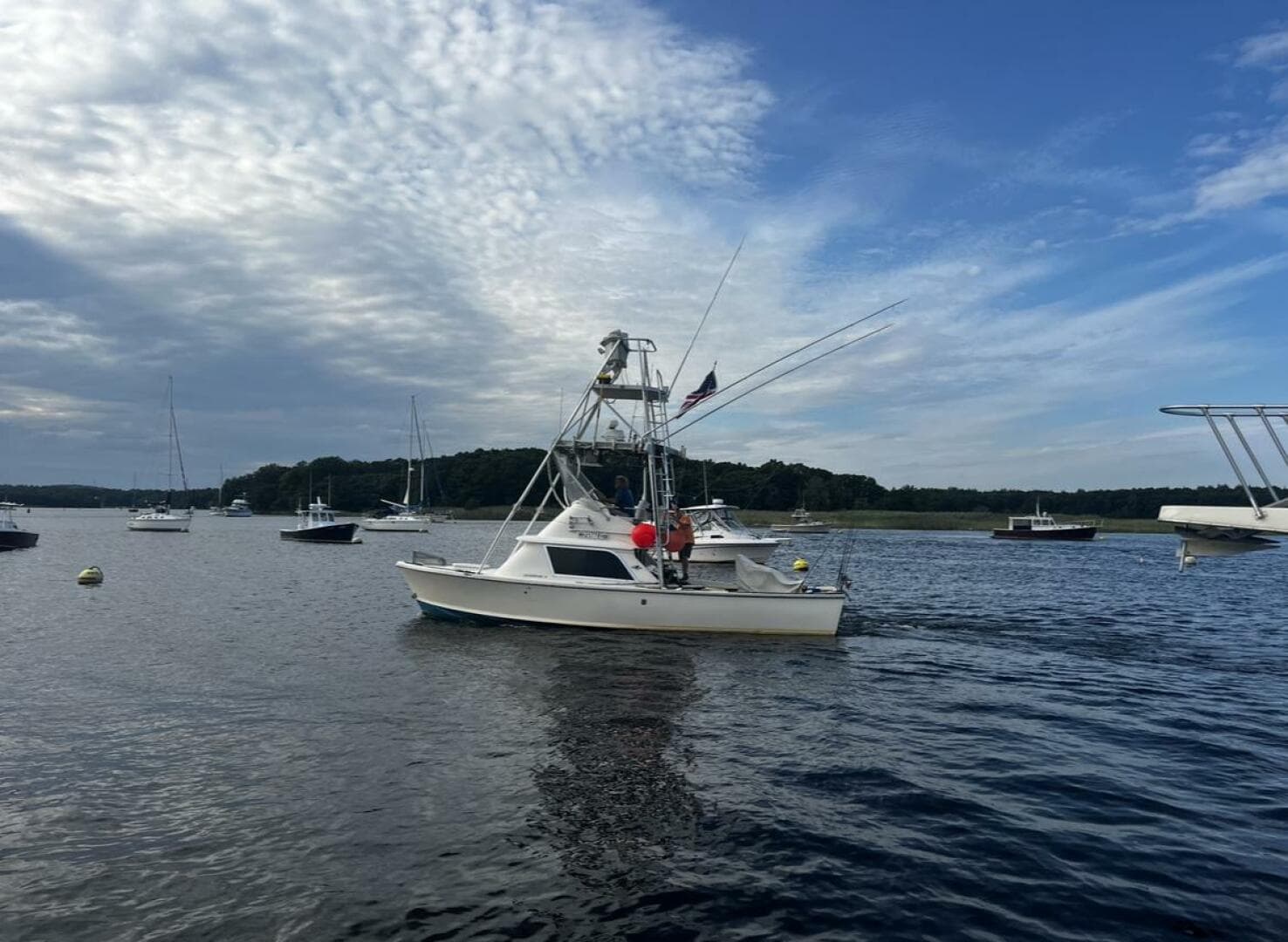 1975 Bertram 31 — photo 4