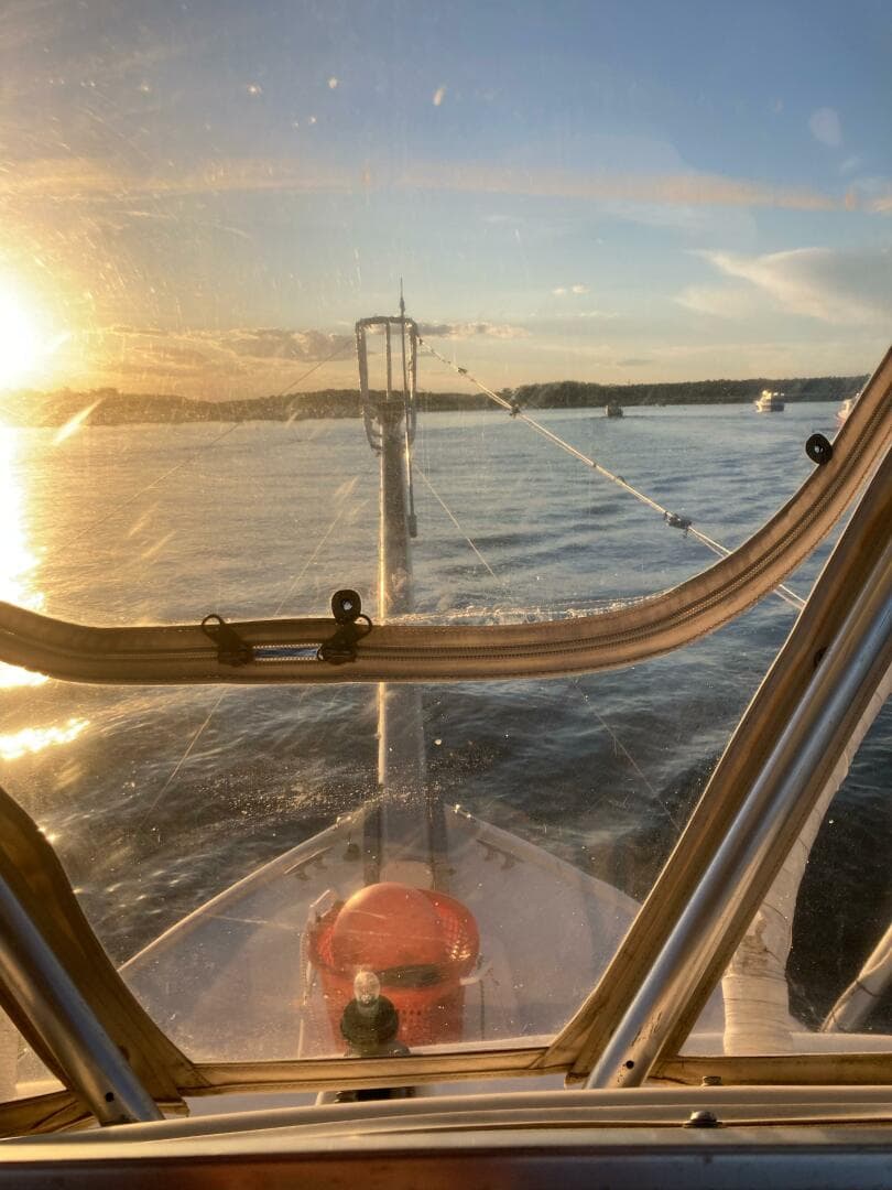 1975 Bertram 31 — photo 9