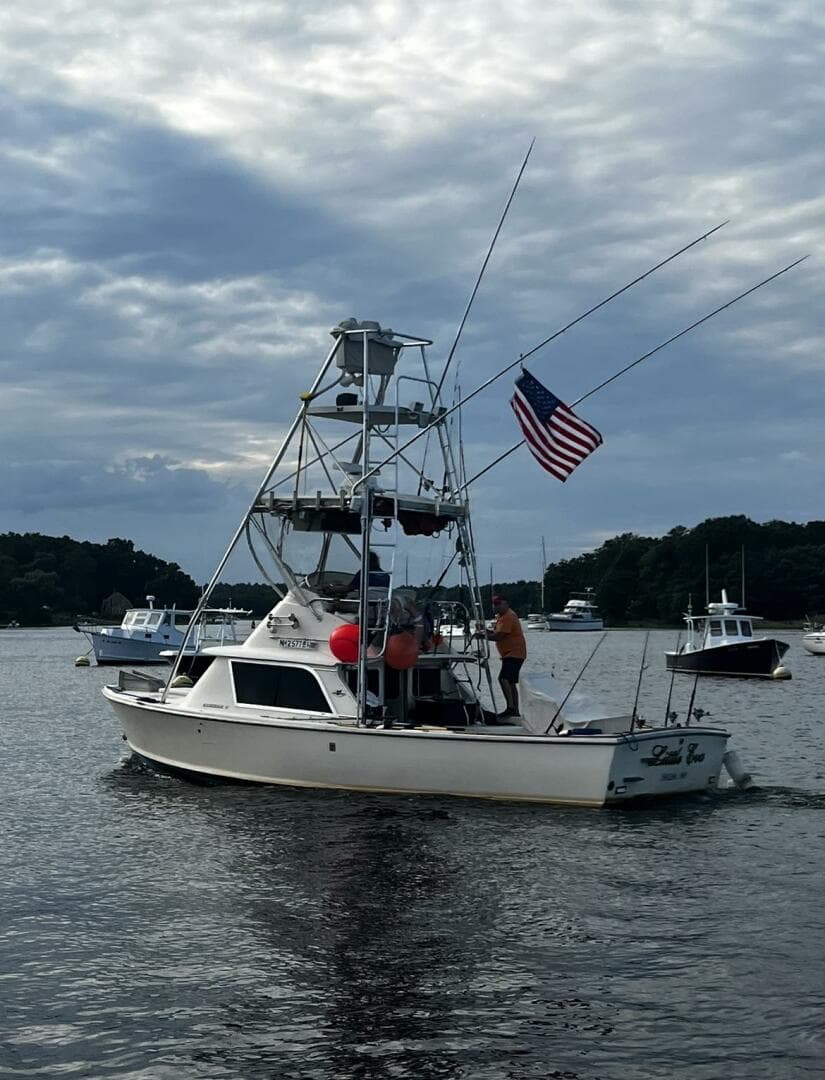 1975 Bertram 31 — photo 2