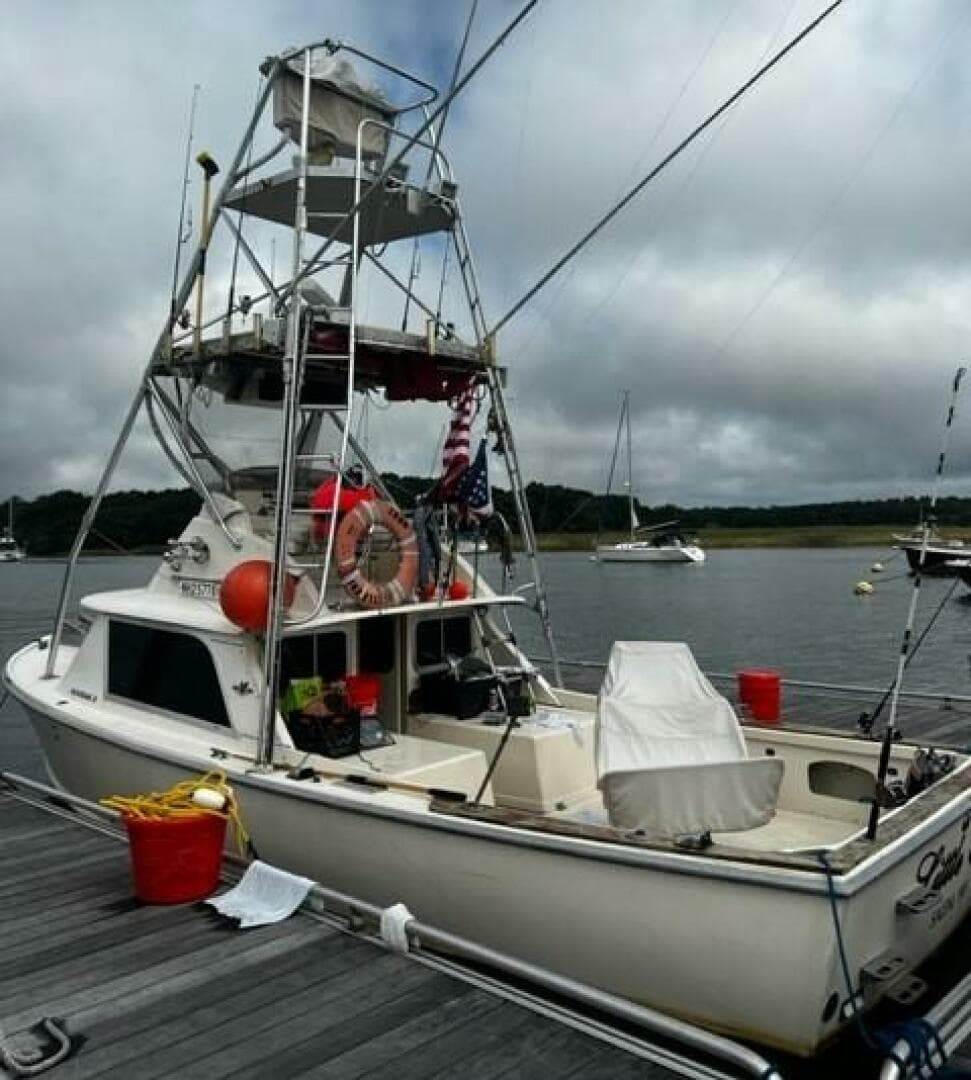 1975 Bertram 31 — photo 1