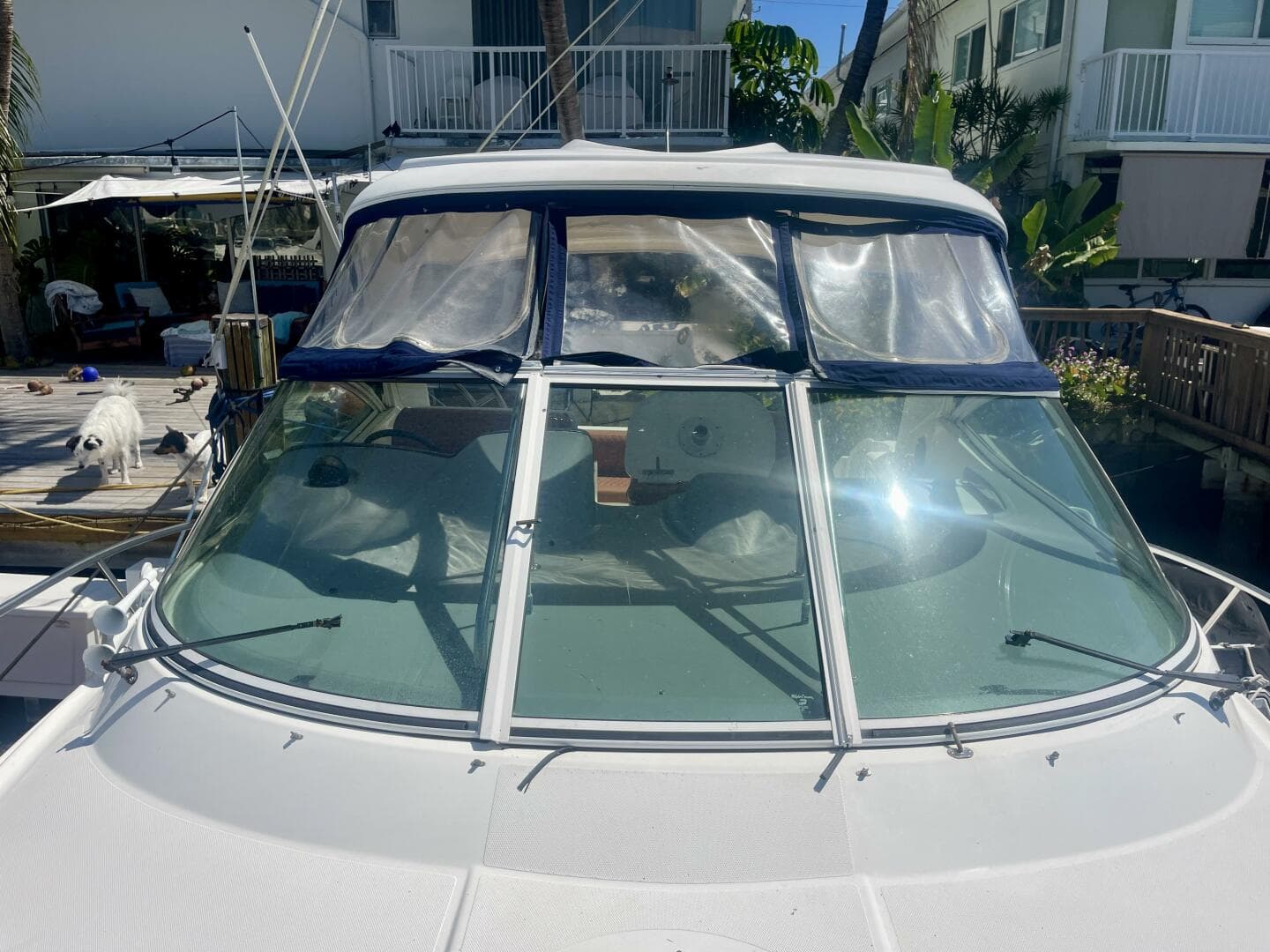 2006 Cruisers Yachts 420 Express — photo 11