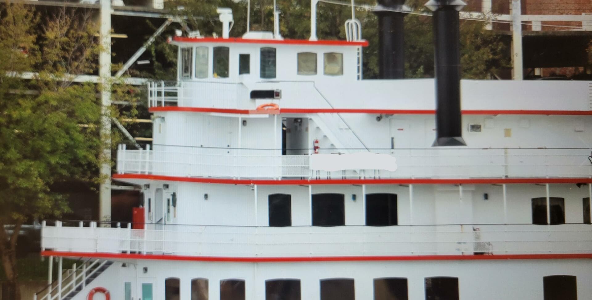 1985 Custom Dinner/excursion/passenger — photo 5