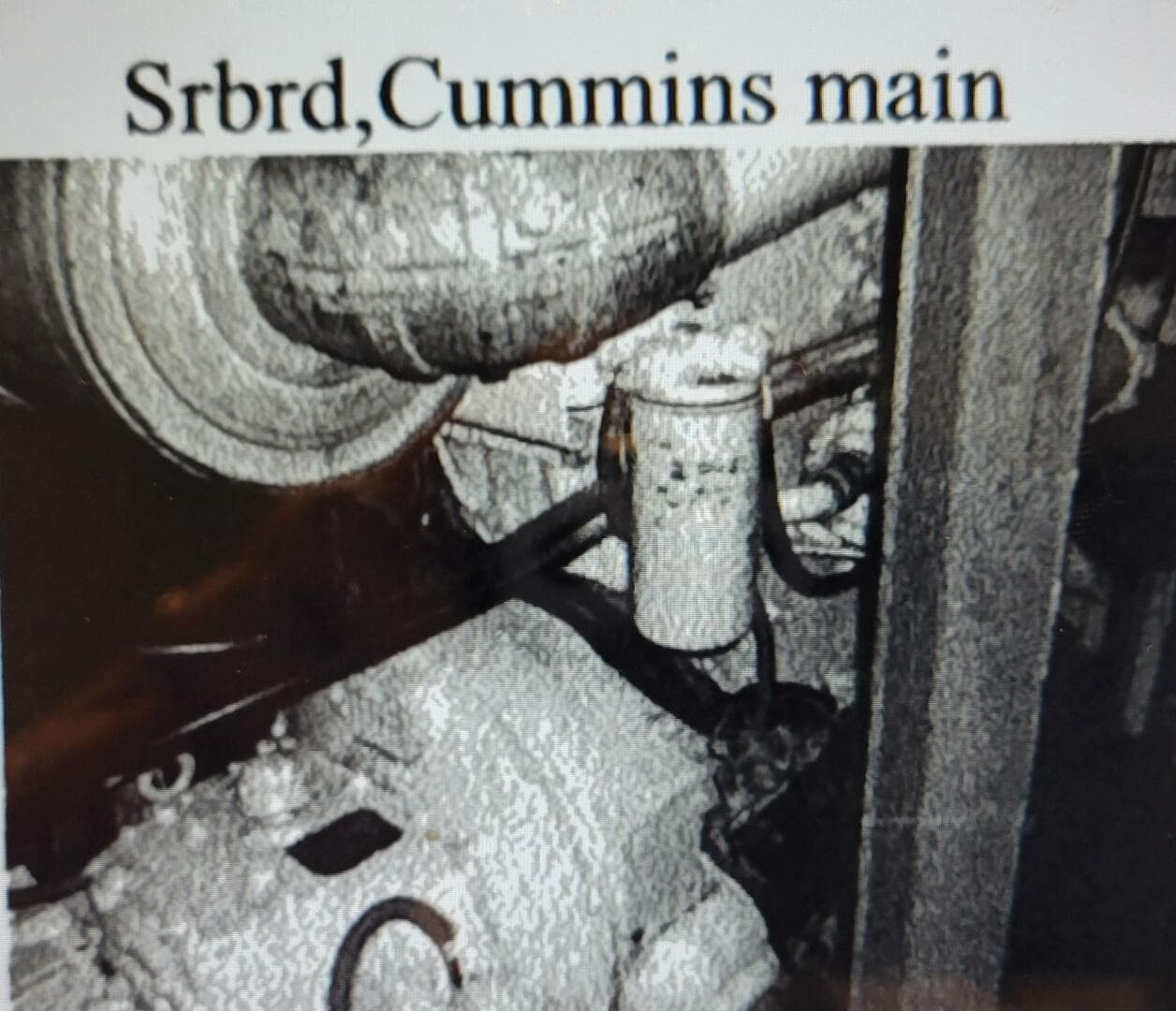 1985 Custom Dinner/excursion/passenger — photo 23